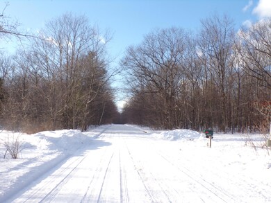 Maple Rd