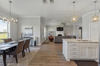 160 Eagles Crest Ln, Brock, TX 76087 - photo 6