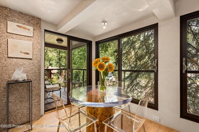 1034 E Cooper Ave unit 26A, Aspen, CO 81611 - photo 5