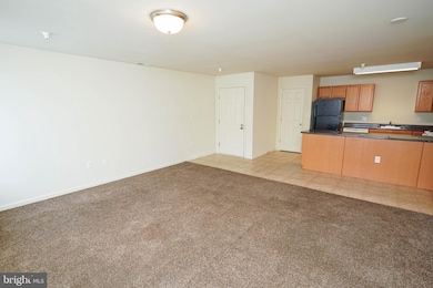 30630 Umes Blvd unit V-204, Princess Anne, MD 21853 - photo 7