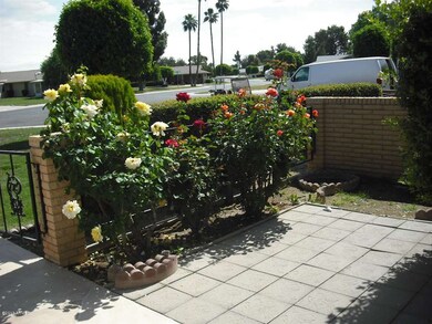 roses in front patio