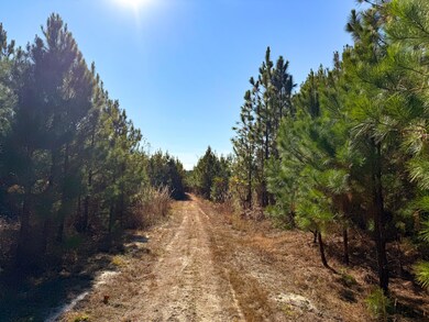 0 State Road S-28-87, Bethune, SC 29009 - photo 7