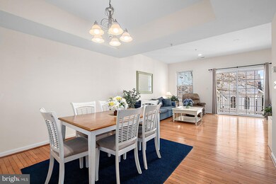 201 S Baltimore Ave unit 101, Ocean City, MD 21842 - photo 5