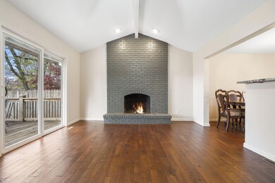 5-web-or-mls-DSC09383