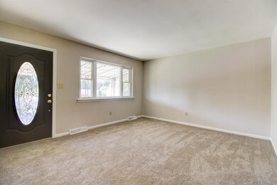 New Carpet