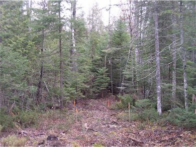 Land/Lot.