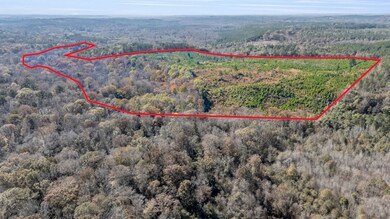 0000 Iron Bridge Rd, Sulligent, AL 35586 - photo 5