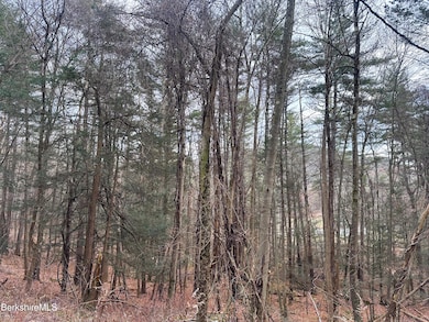 0 Glendale Rd unit 245211, Stockbridge, MA 01262 - photo 6