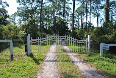 2976 Pristine Dr, Carrabelle, FL 32322 - photo 6