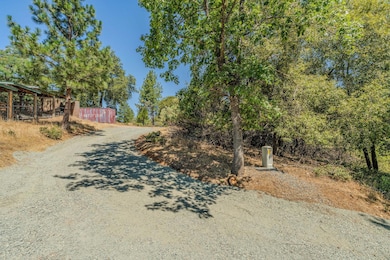 20117 Neilson Rd, Pine Grove, CA 95665 - photo 3