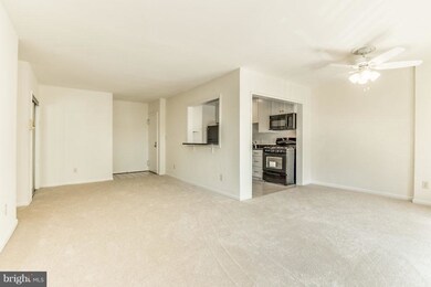 101 Skyhill Rd unit 203, Alexandria, VA 22314 - photo 7