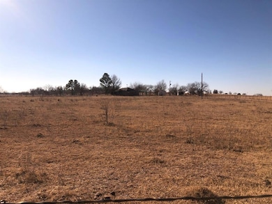 911 Hereford Ln, Millsap, TX 76066 - photo 4