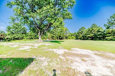 Backyard View
