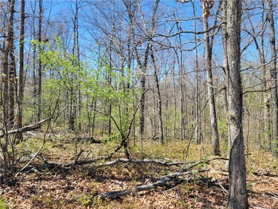 0 Ayton Ln unit 1271975, Bella Vista, AR 72714 - photo 6