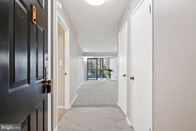 Montebello unit 303, Alexandria, VA 22303 - photo 3