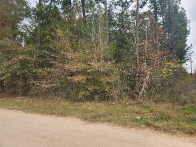 Lot 1 Yupon Branch Ln, Plantersville, TX 77363 - photo 7