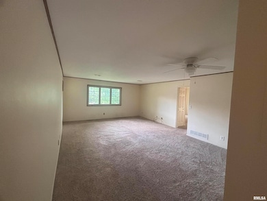 920 17th St, Moline, IL 61265 - photo 3