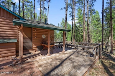 287 S Lookout Trail, Payson, AZ 85541 - photo 5