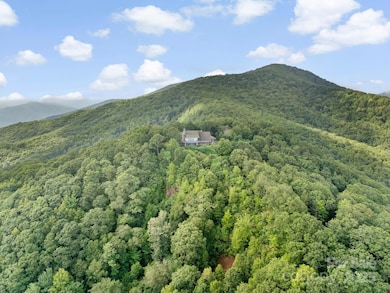 2200 Camp Branch Rd, Waynesville, NC 28786 - photo 3
