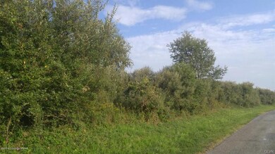 8 Butternut Dr, Kunkletown, PA 18058 - photo 6