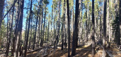 Lot 2682 & 2683 Purnell Ln unit 2682,2683, Fort Garland, CO 81133 - photo 6