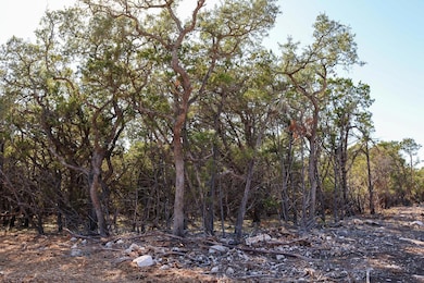 3101 - 1 Longhorn Trail, Wimberley, TX 78676 - photo 3