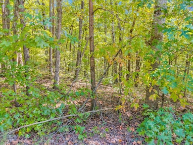 Lot 3&4 W Laurel Way, Monterey, TN 38574 - photo 7