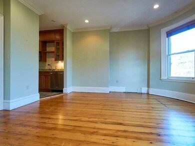 19 E Concord St unit 2, Boston, MA 02118 - photo 5