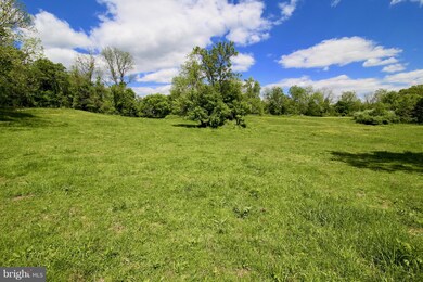 22064 Sam Fred Rd, Middleburg, VA 20117 - photo 6