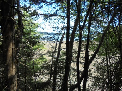 from path to shorefront
