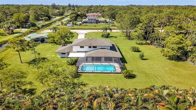 Aerial shot (7)