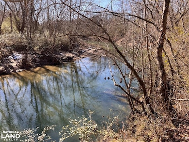 0 Co Rd 65 unit 24094921, Swaim, AL 35745 - photo 7