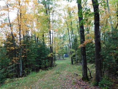 coming up to the clearing