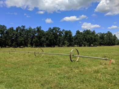IRRIGATED PASTURES (2)
