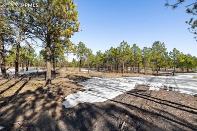 12196 Goodson Rd, Colorado Springs, CO 80908 - photo 7