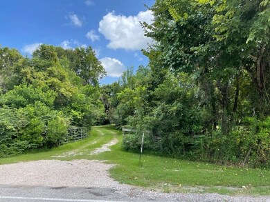 3103 County Road 310, Brazoria, TX 77422 - photo 4