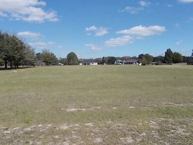 813 E Bismark St, Hernando, FL 34442 - photo 2