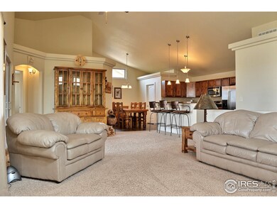 Beautiful Wall Details & Door Openings