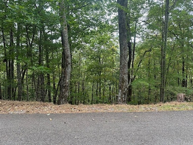 Lot A28 Laurel Ridge Dr, Ellijay, GA 30536 - photo 2