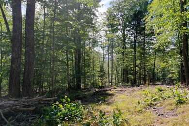 784 Texas Hill Rd, Plymouth, NH 03264 - photo 3