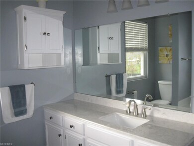 Master bath:  cultured marble vanity top, brushed 