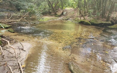 Additional View