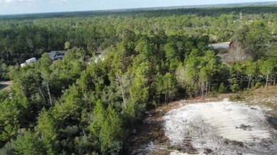 Aerial View of Cleared and Wooded Area