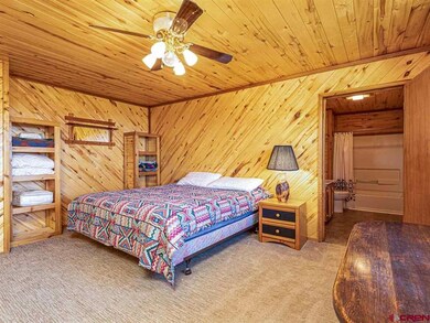 21267 Ward Creek Rd, Cedaredge, CO 81413 - photo 6