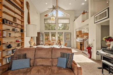 20202 Spring Creek Trail, Buffalo Creek, CO 80425 - photo 7