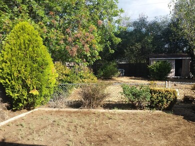 Back Yard with Shed