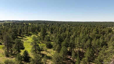 10324 Pine Song Place, Parker, CO 80138 - photo 6