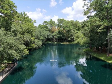 47 Litchfield Ln, Houston, TX 77024 - photo 2