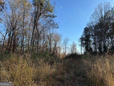 2557 Washington Hwy, Elberton, GA 30635 - photo 6