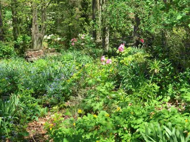 TBD Windsor Rd, Harrisonburg, VA 22801 - photo 3